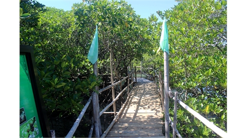 Puerto Galera Mangrove Conservation And Eco-Tourism Area